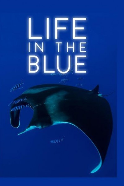 Caratula, cartel, poster o portada de La vida en el océano azul