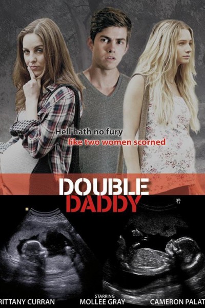 Caratula, cartel, poster o portada de Doble embarazo