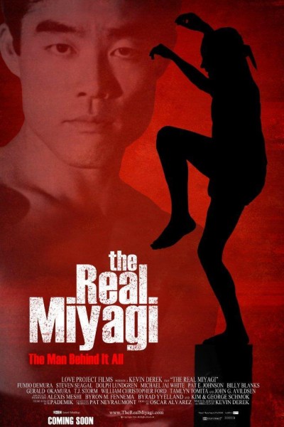 Caratula, cartel, poster o portada de El auténtico Miyagi