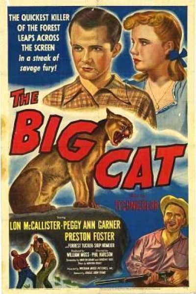 Caratula, cartel, poster o portada de El gran gato