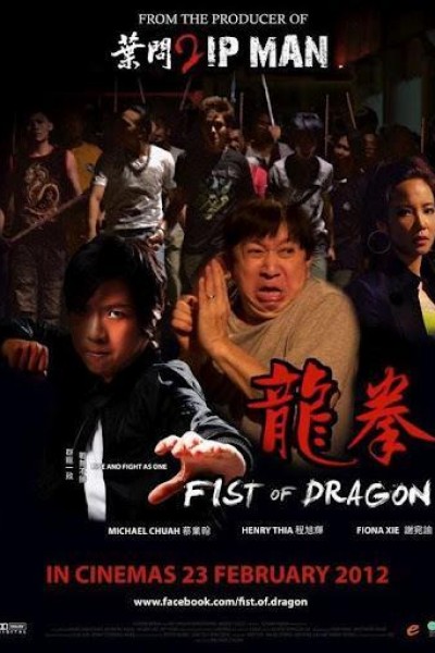 Caratula, cartel, poster o portada de Fist of Dragon