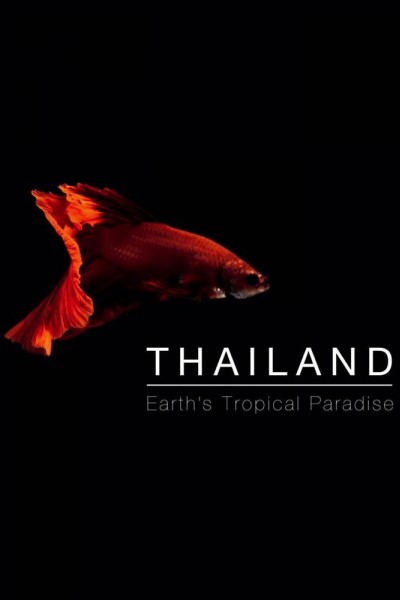 Caratula, cartel, poster o portada de Tailandia salvaje