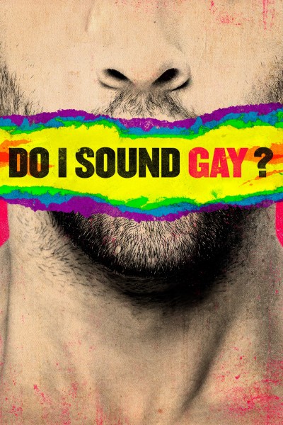 Caratula, cartel, poster o portada de Do I Sound Gay?