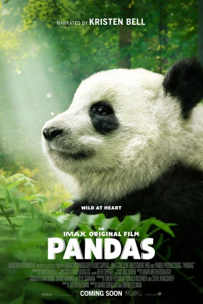 Caratula, cartel, poster o portada de Pandas
