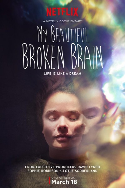 Caratula, cartel, poster o portada de My Beautiful Broken Brain
