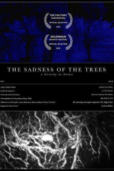 Caratula, cartel, poster o portada de The Sadness of the Trees