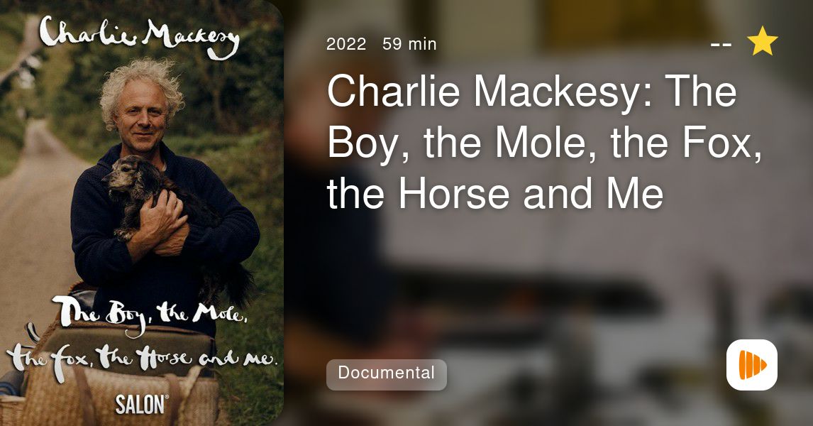 Charlie Mackesy: The Boy, The Mole, The Fox, The Horse And Me - PlayMax