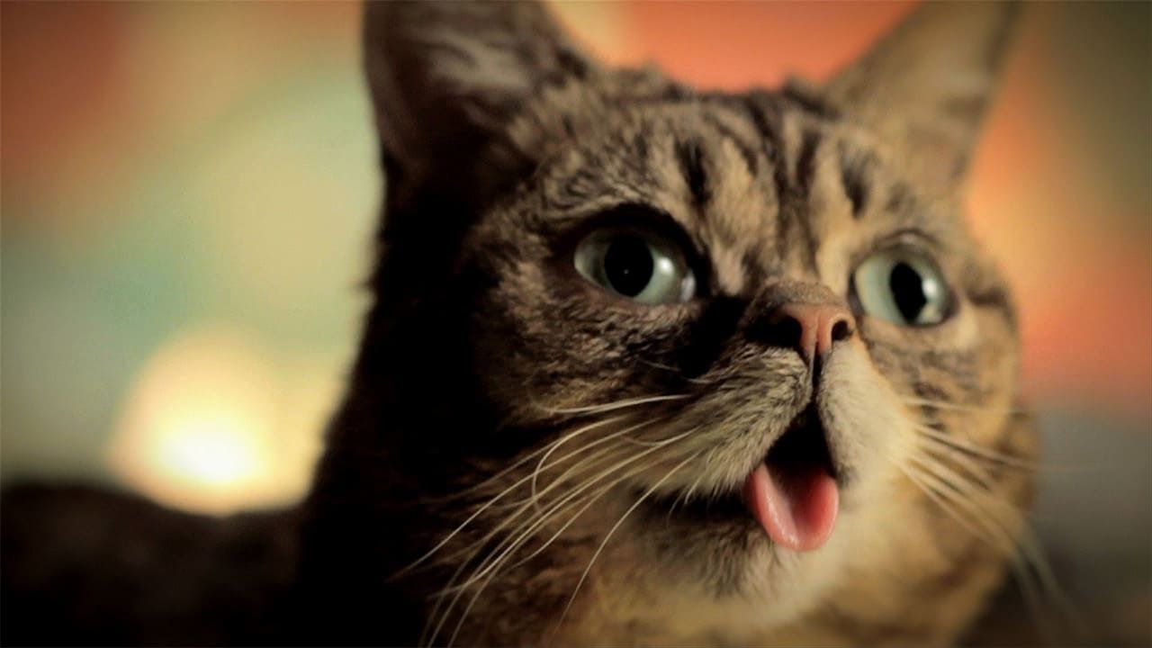 Cubierta de Lil Bub & Friendz