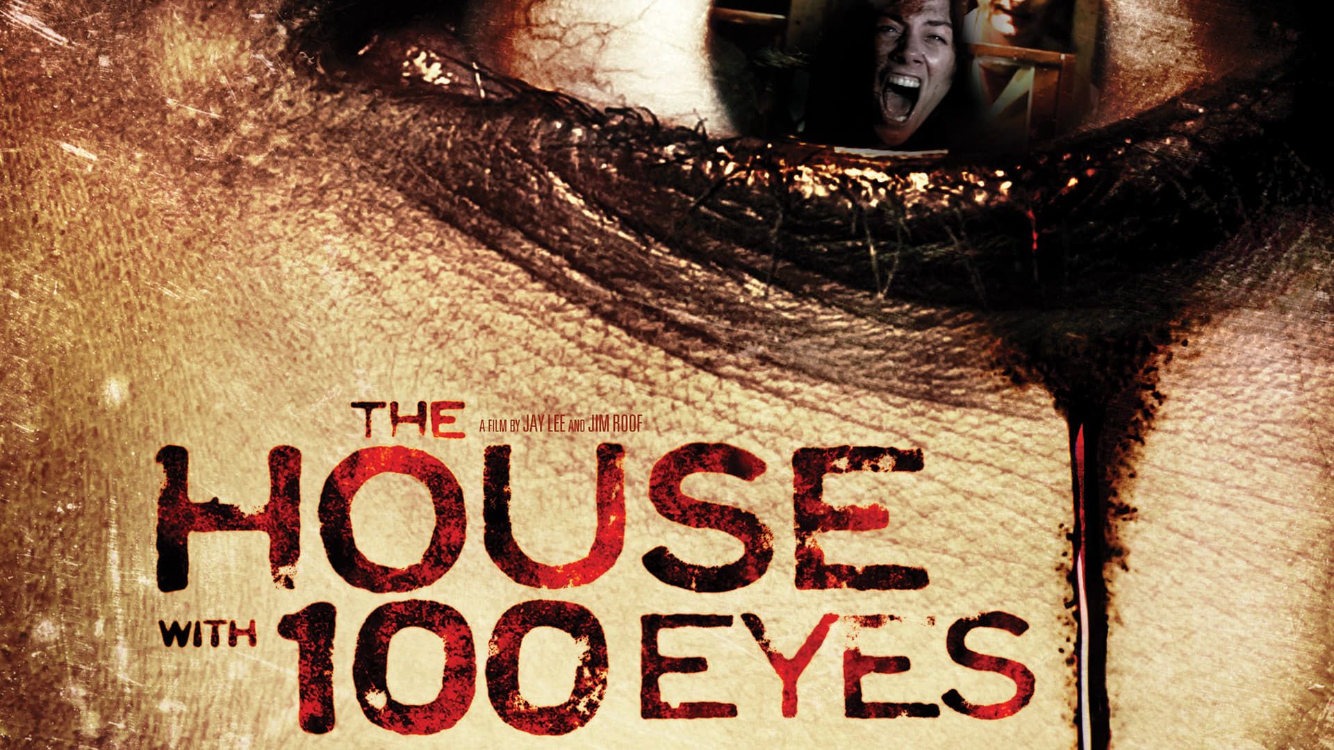 Cubierta de The House with 100 Eyes