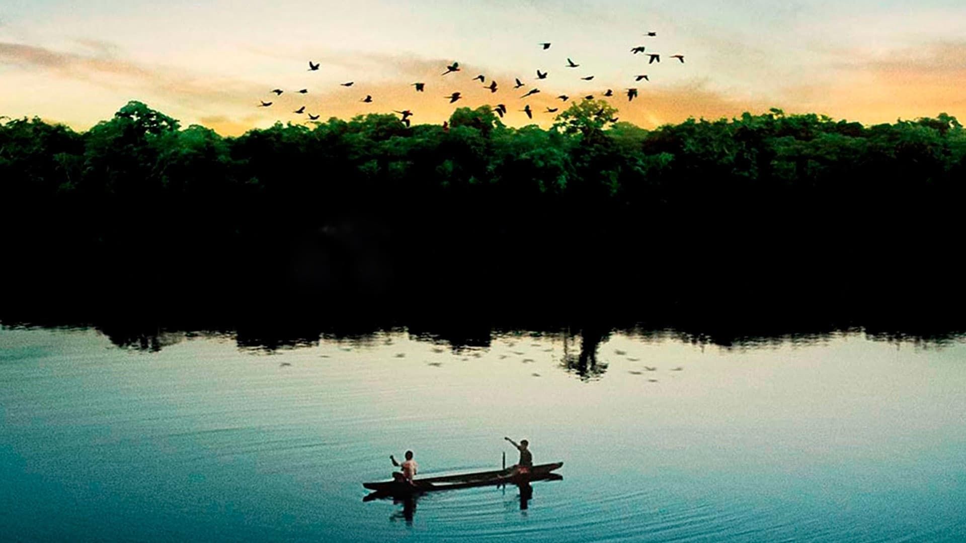 Cubierta de Amazônia Eterna