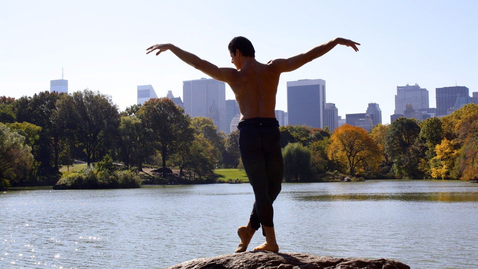 Cubierta de Anatomy of a Male Ballet Dancer