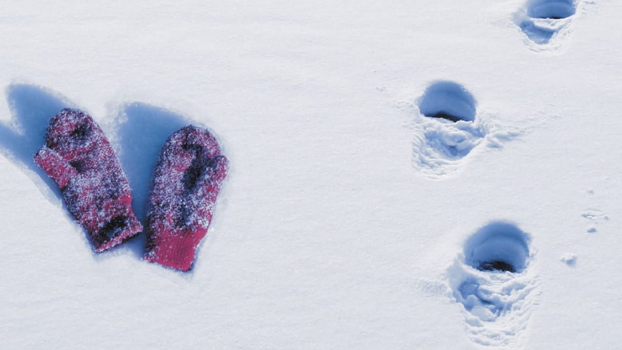 Cubierta de Footsteps in the Snow