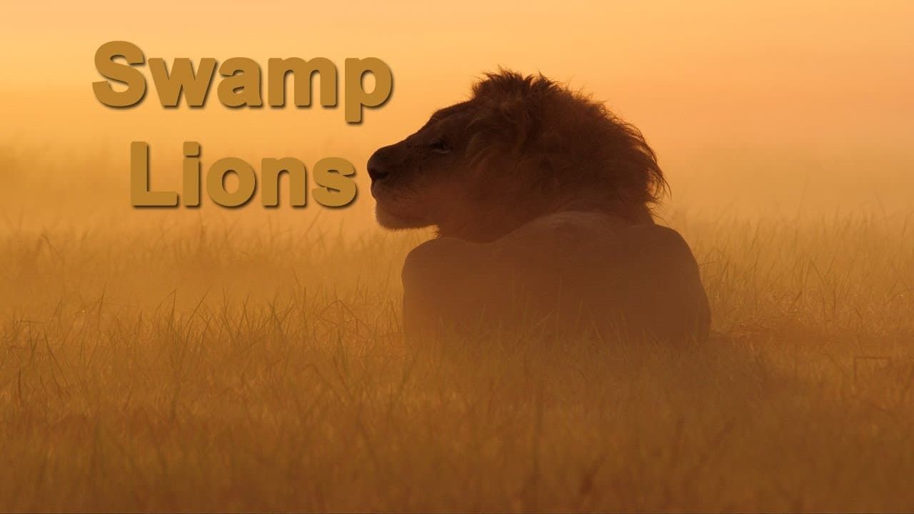 Cubierta de Swamp Lions