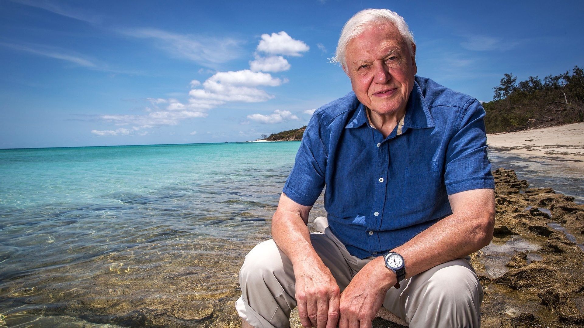 Cubierta de La gran barrera de coral con David Attenborough