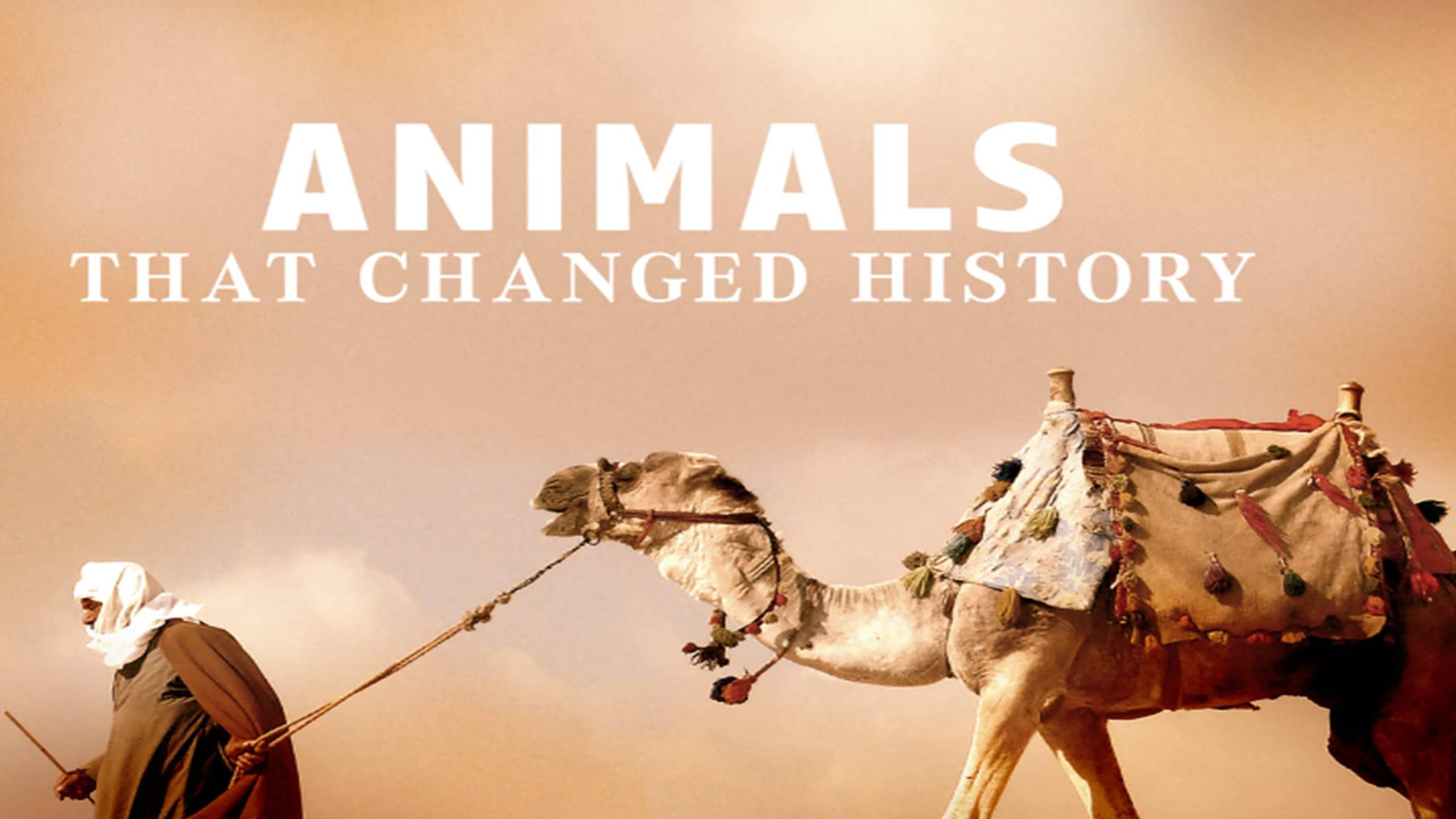 Cubierta de Animales que cambiaron la historia
