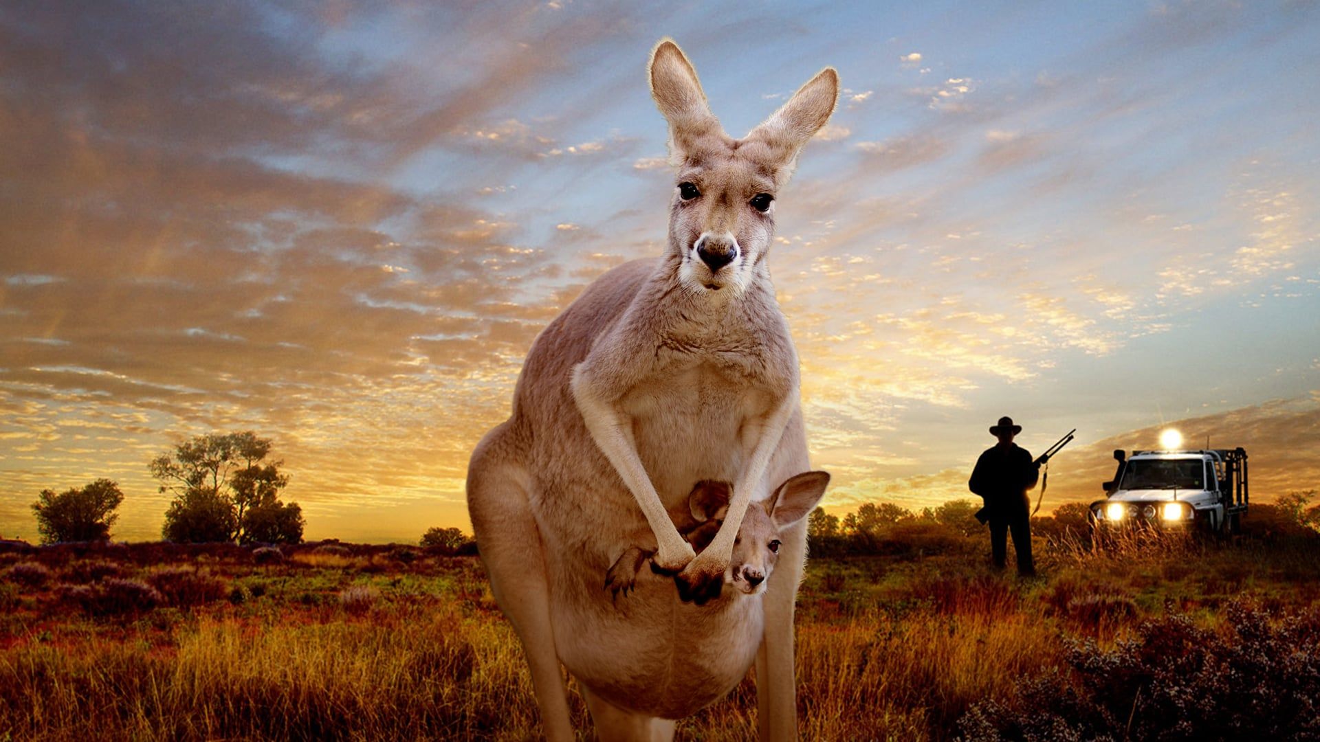 Cubierta de Kangaroo