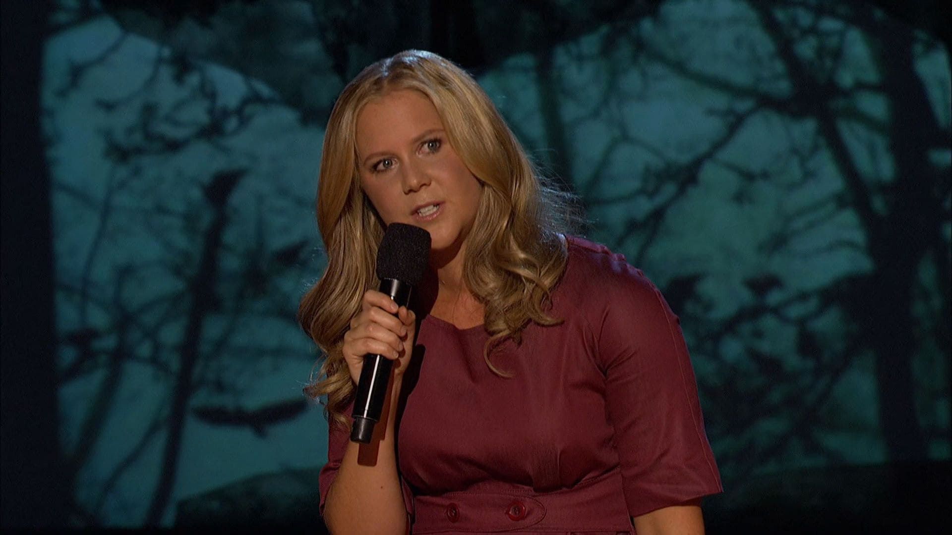 Cubierta de Amy Schumer: Mostly Sex Stuff