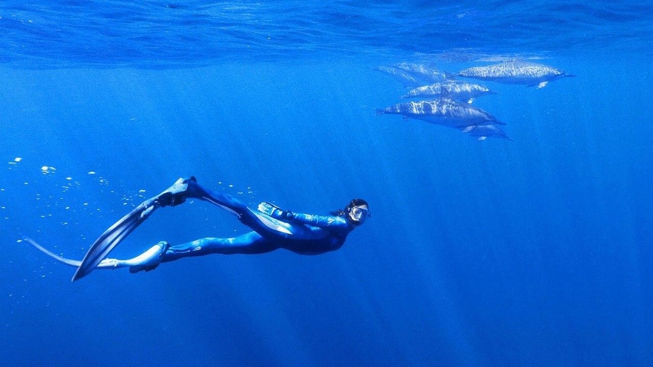 Cubierta de El mundo submarino de Jacques Cousteau