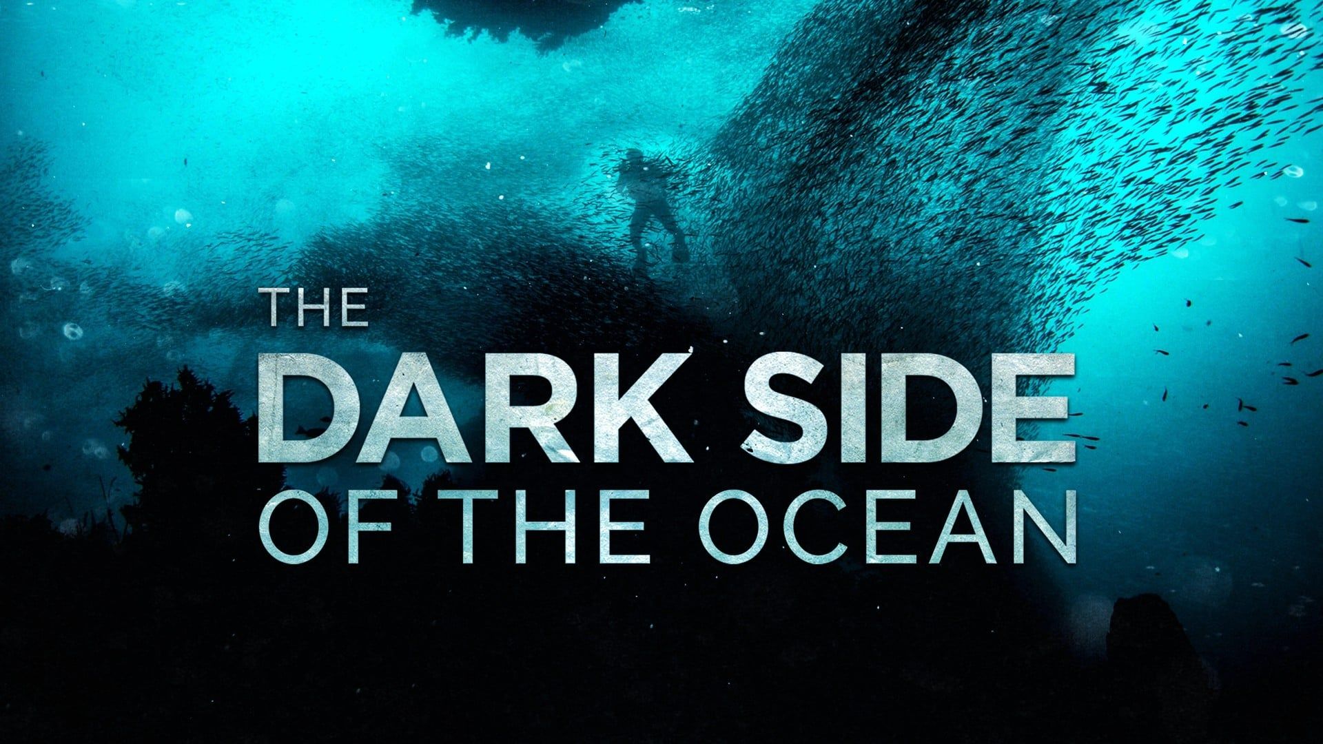 Cubierta de El lado oscuro del océano