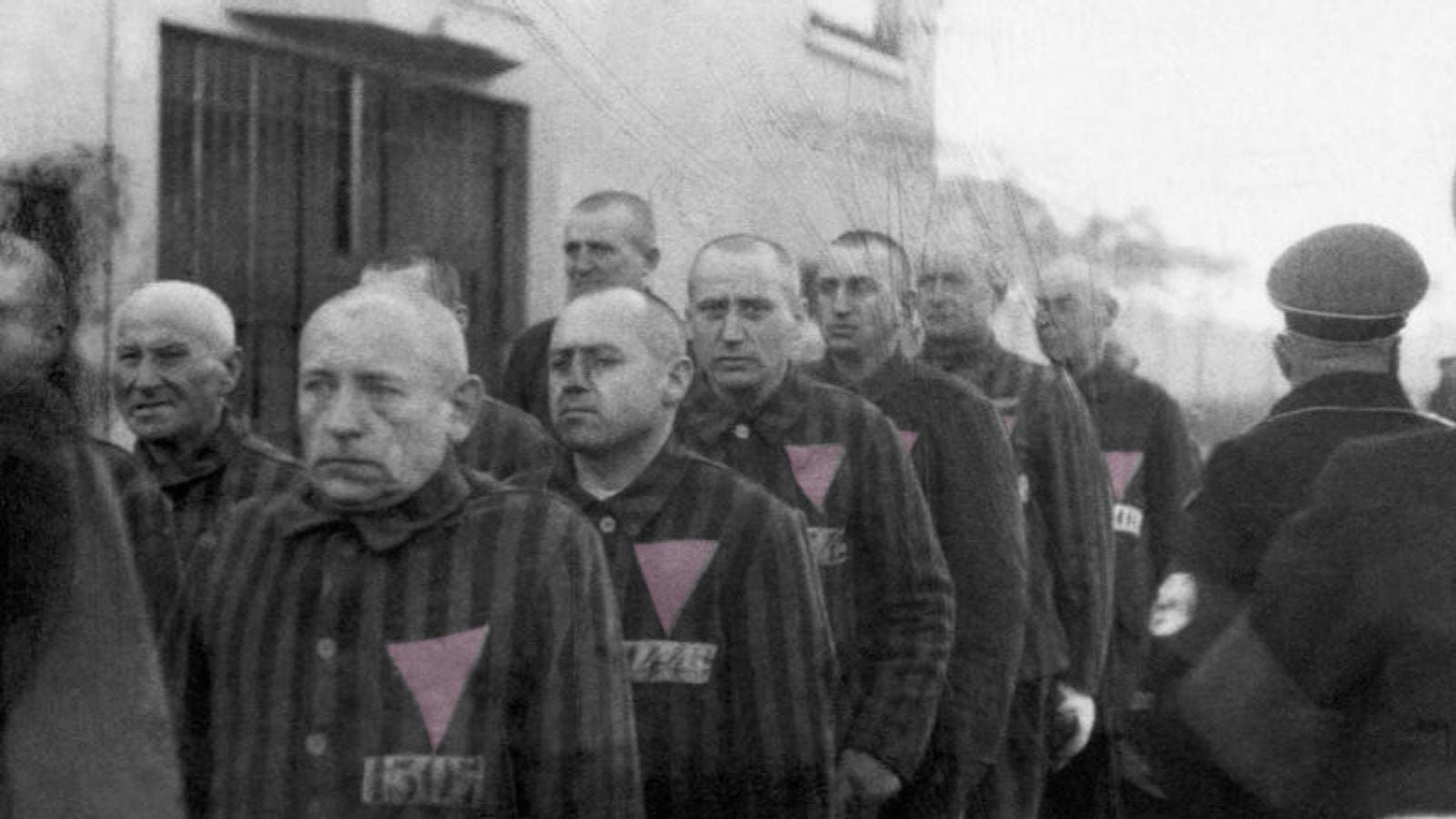 Cubierta de El triángulo rosa y la cura nazi para la homosexualidad