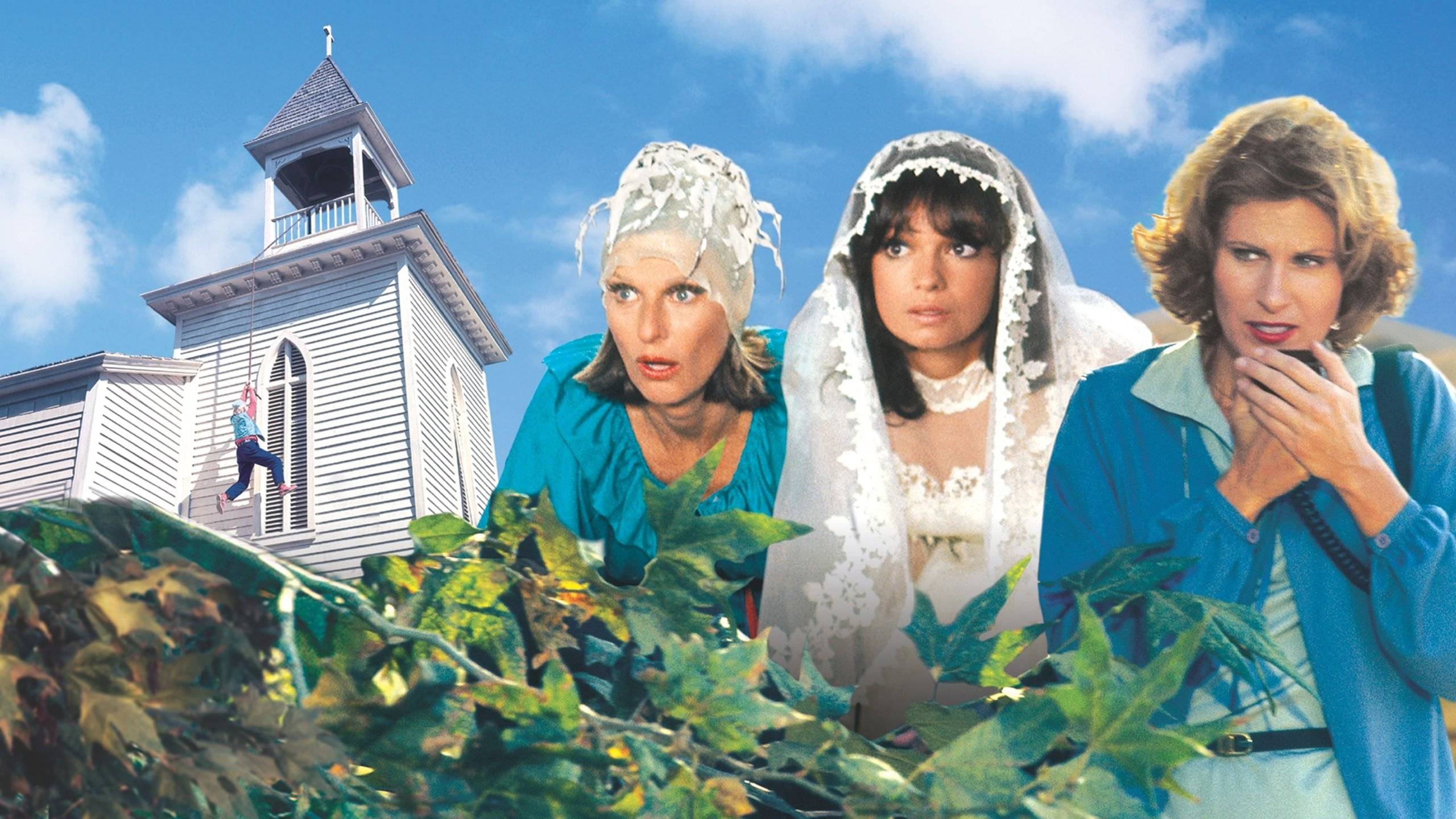 Cubierta de Los aficionados de North Avenue