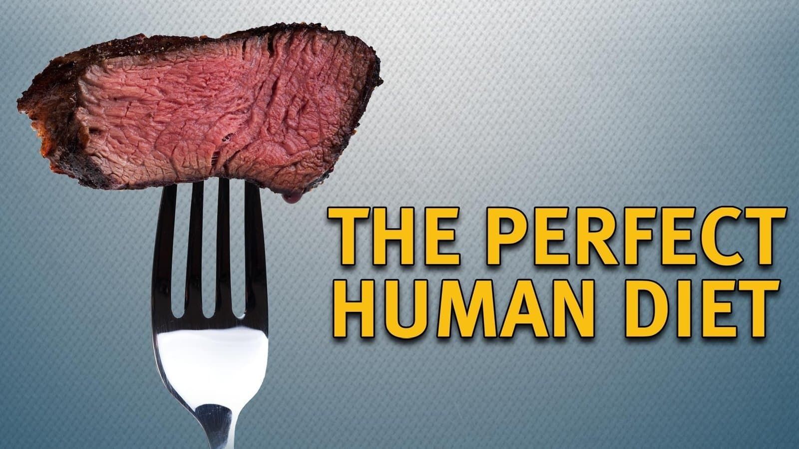 Cubierta de In Search of the Perfect Human Diet