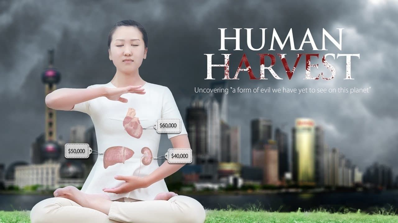 Cubierta de Human Harvest