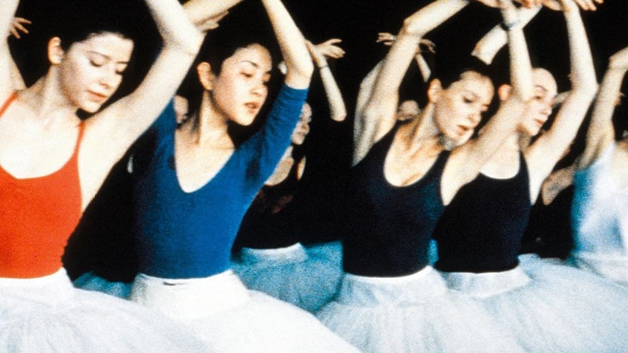 Cubierta de Tout près des étoiles: Les danseurs de l\'Opéra de Paris