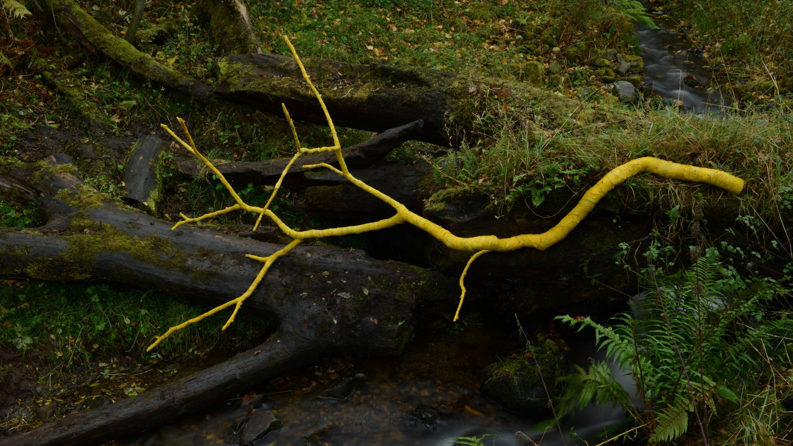 Cubierta de Leaning Into the Wind: Andy Goldsworthy