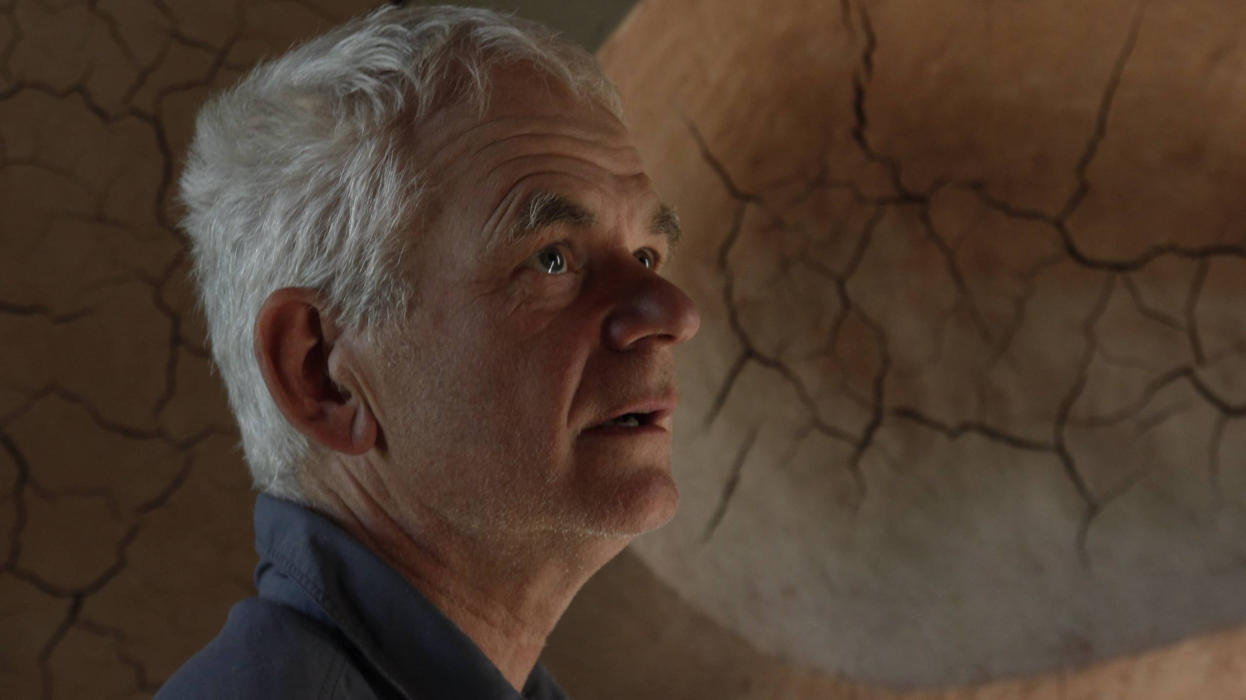 Cubierta de Leaning Into the Wind: Andy Goldsworthy