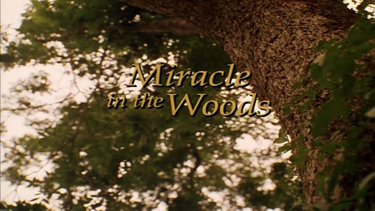 Cubierta de Miracle in the Woods