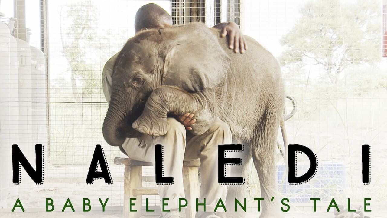 Cubierta de Naledi: A Baby Elephant\'s Tale