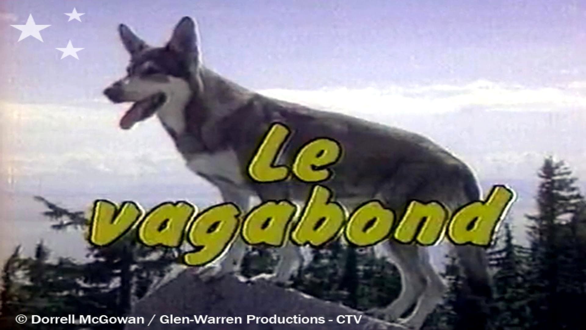 Cubierta de El perro vagabundo