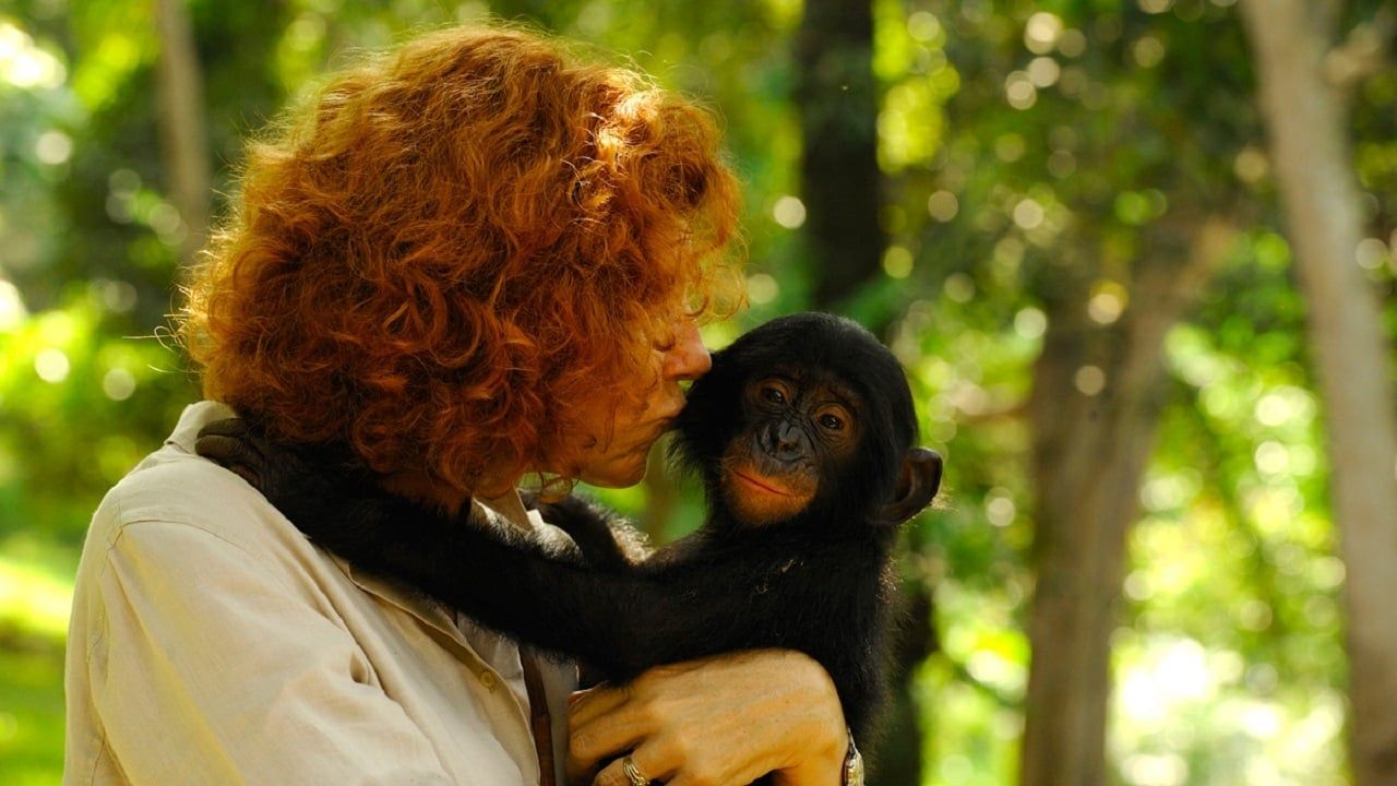 Cubierta de Bonobos