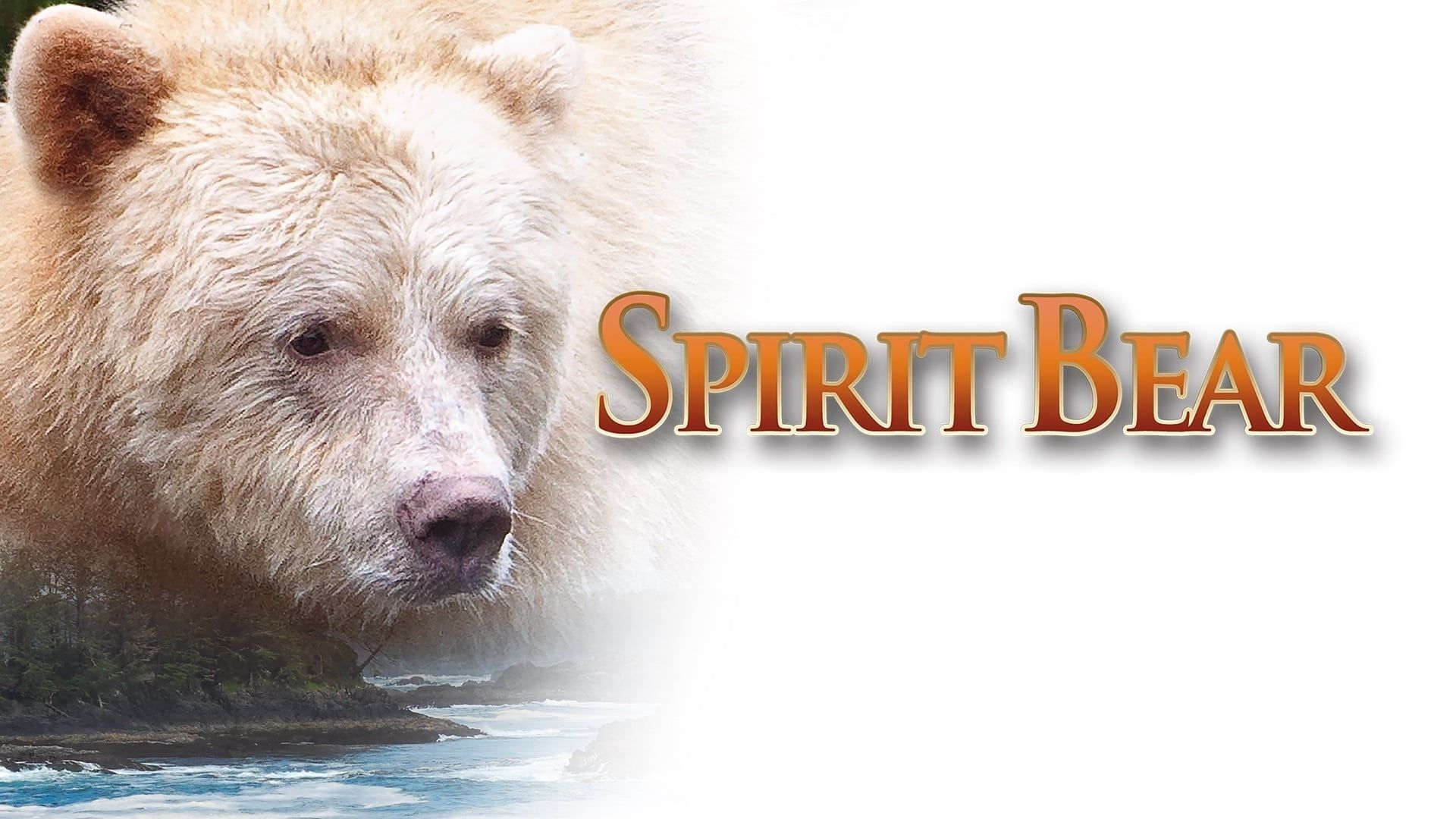 Cubierta de Spirit Bear: The Simon Jackson Story