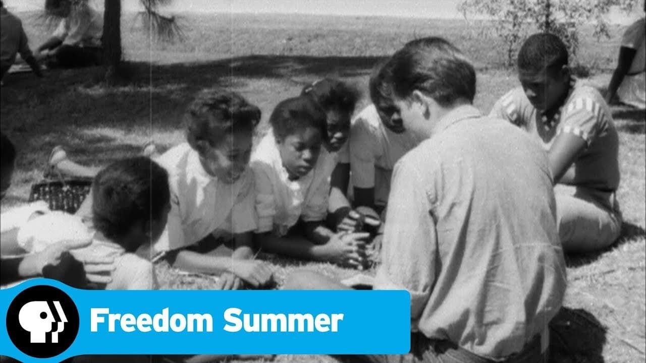 Cubierta de Freedom Summer (American Experience)