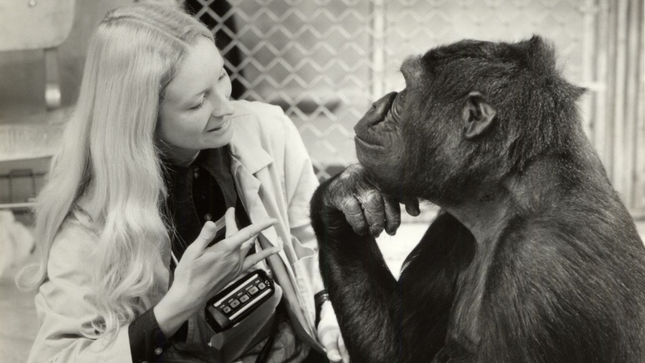 Cubierta de Koko, le gorille qui parle