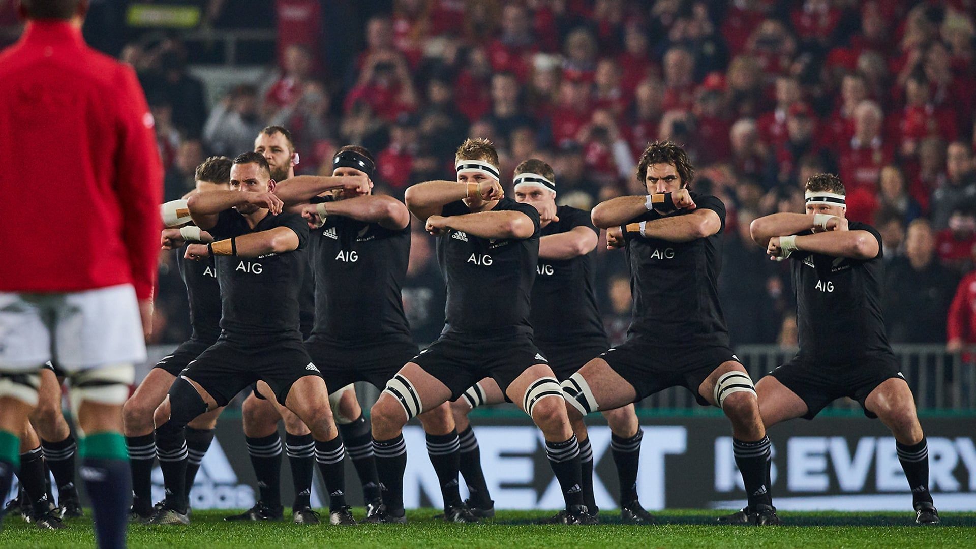 Cubierta de All or Nothing: New Zealand All Blacks