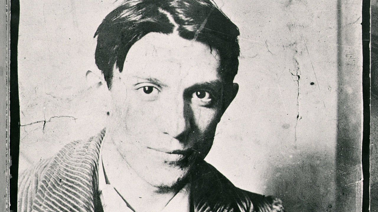 Cubierta de El joven Picasso