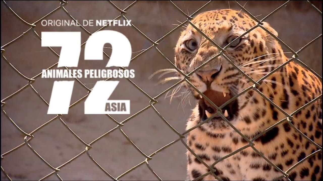 Cubierta de 72 Animales peligrosos: Asia