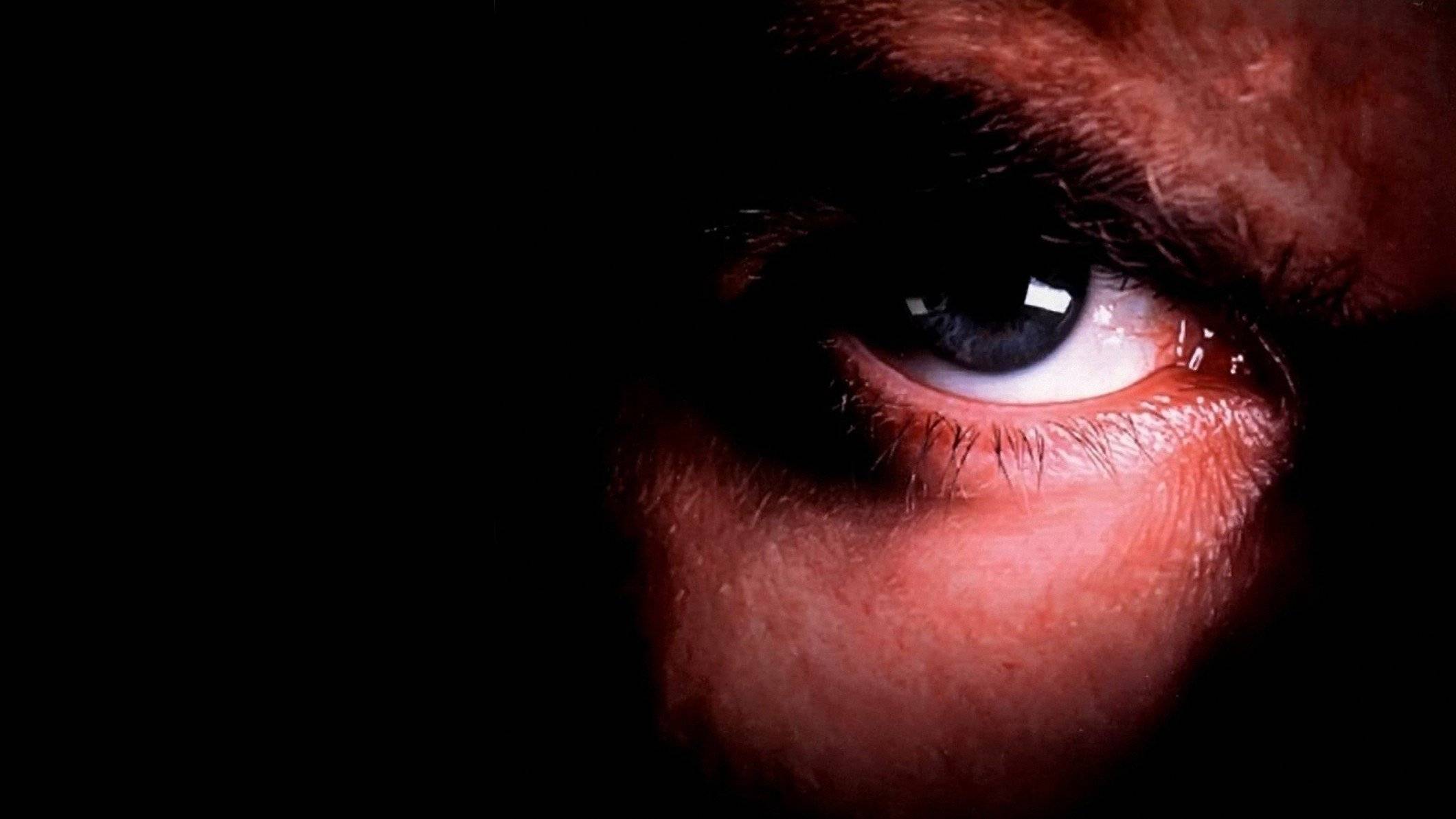 Cubierta de Possessed by the Night