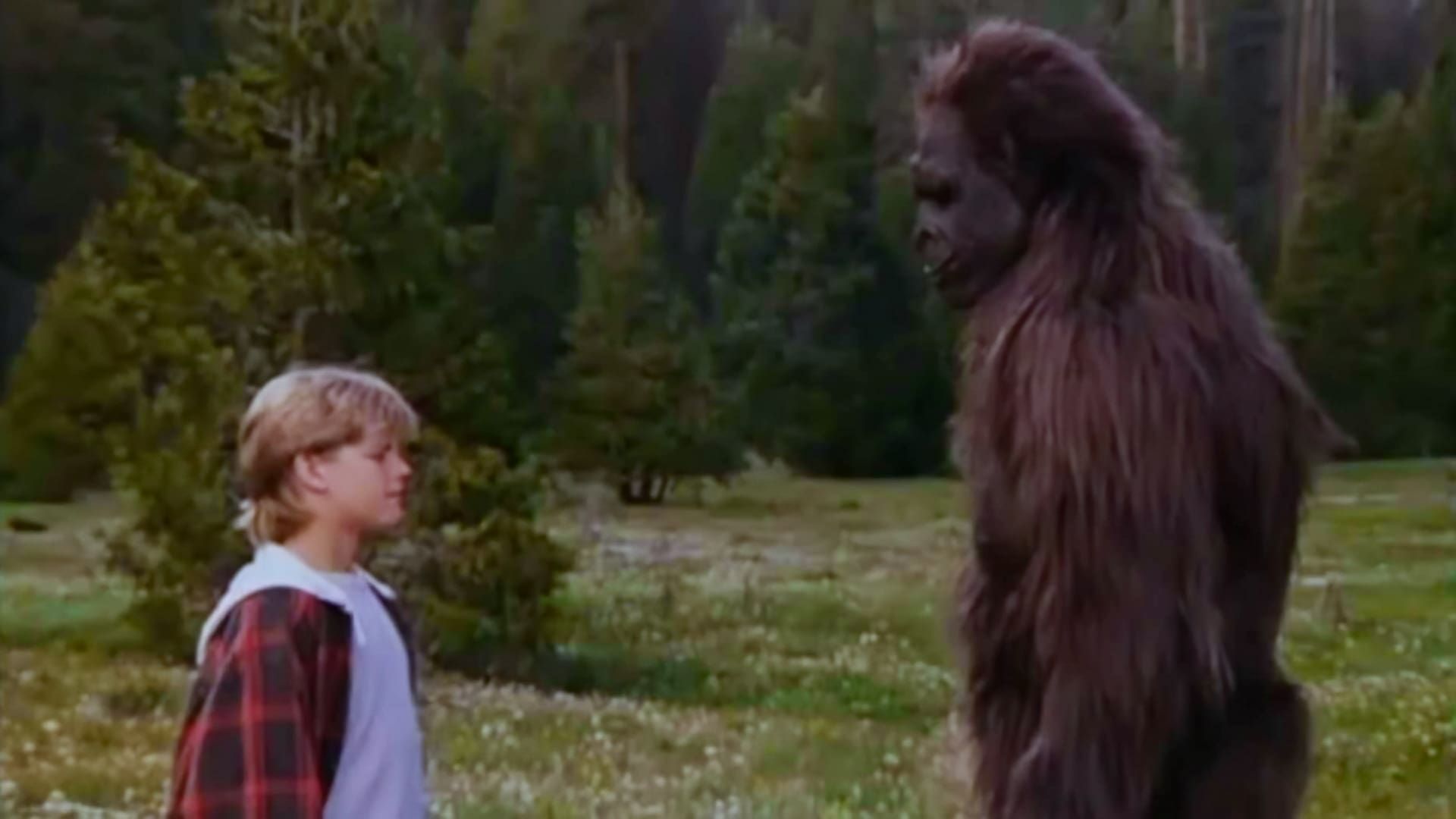 Cubierta de Bigfoot: El encuentro inolvidable