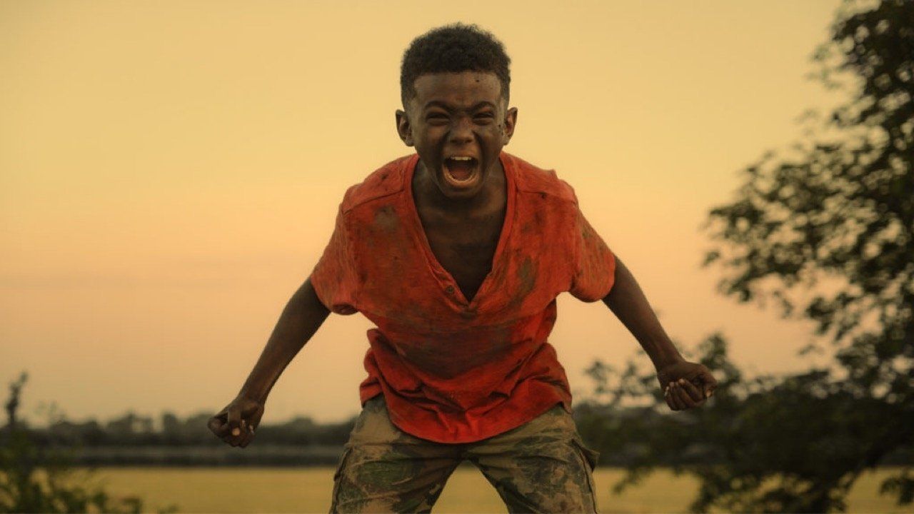 Cubierta de The Last Tree