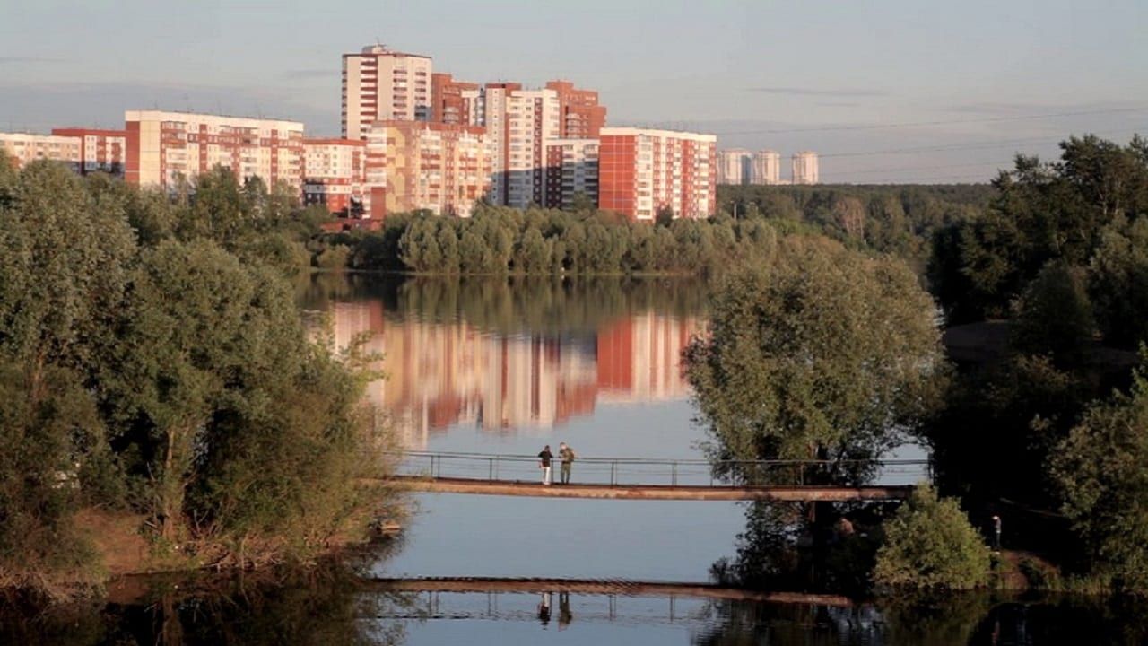 Cubierta de El día después del desastre