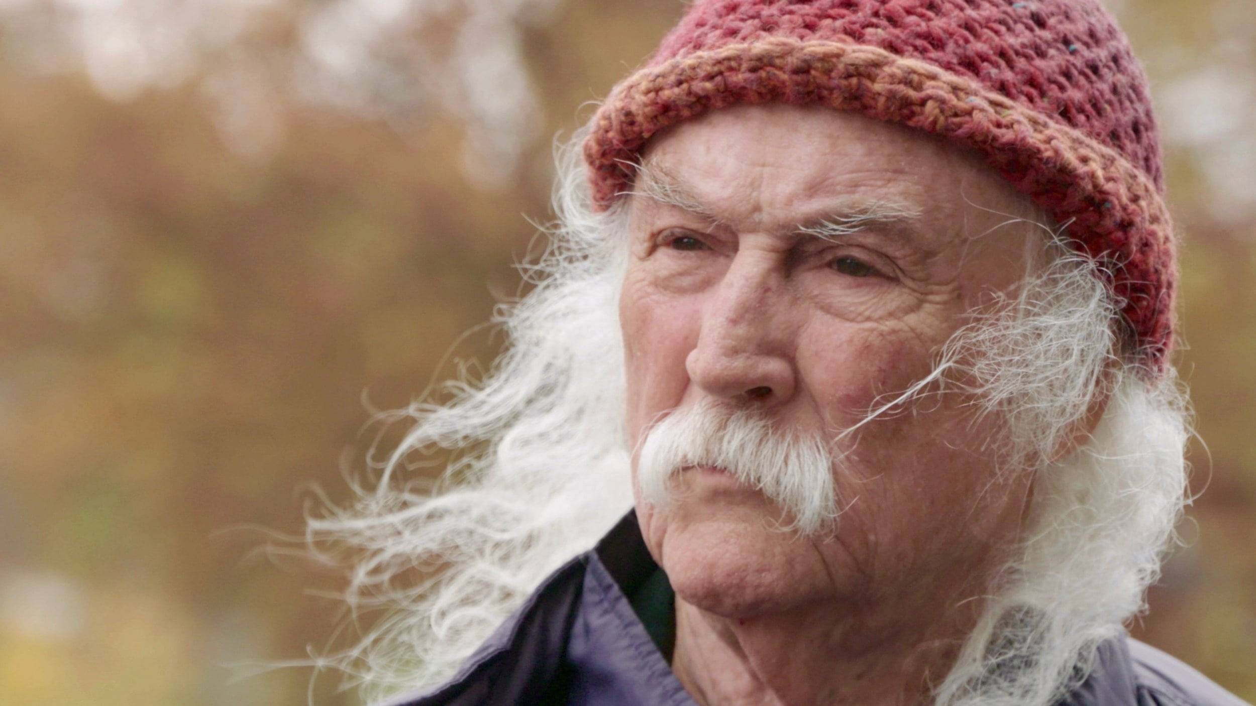 Cubierta de David Crosby: Remember My Name