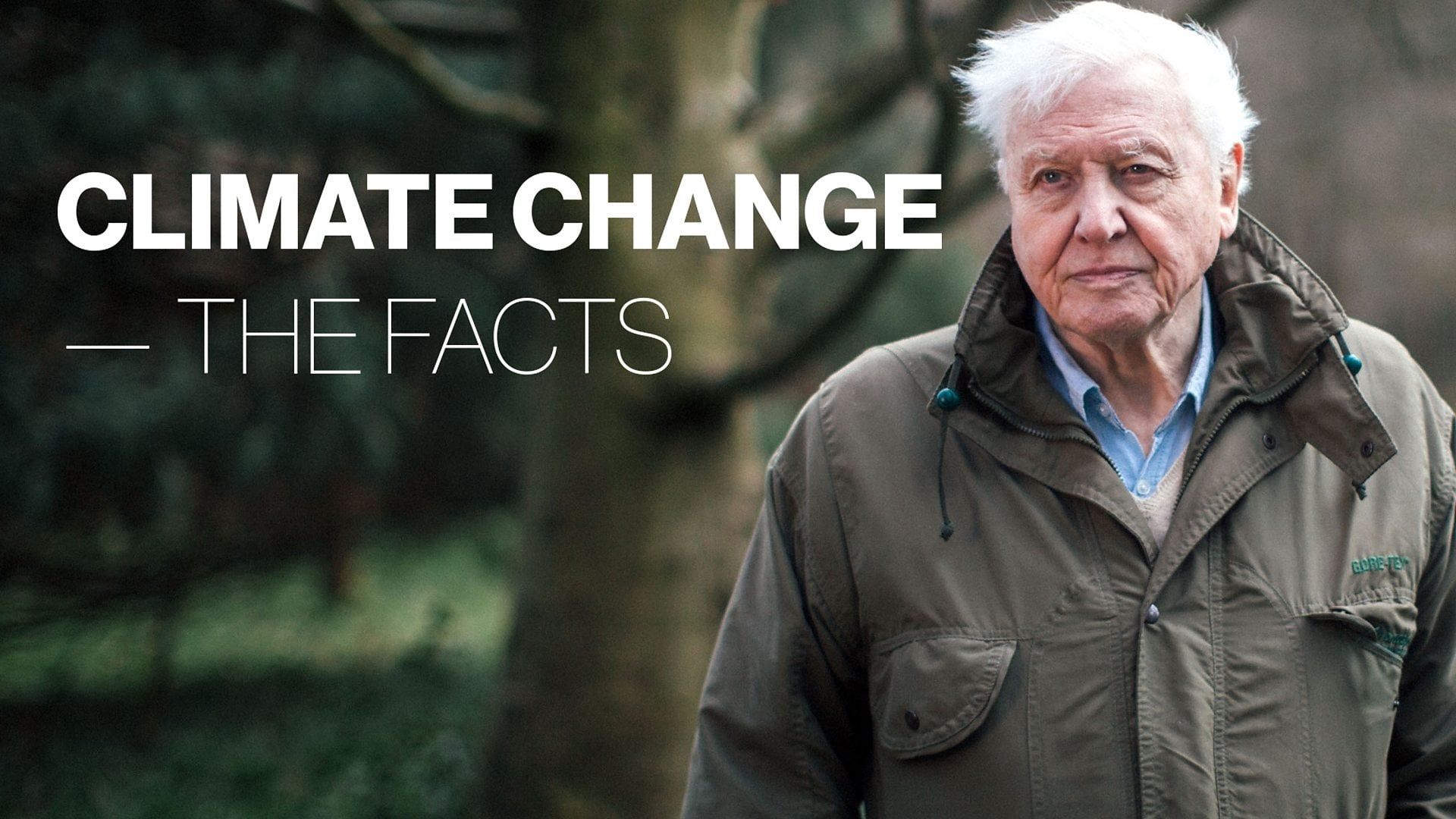 Cubierta de El cambio climático - Los hechos
