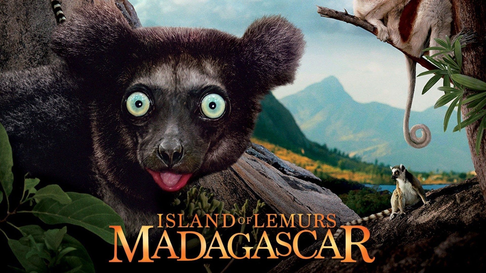 Cubierta de Island of Lemurs: Madagascar