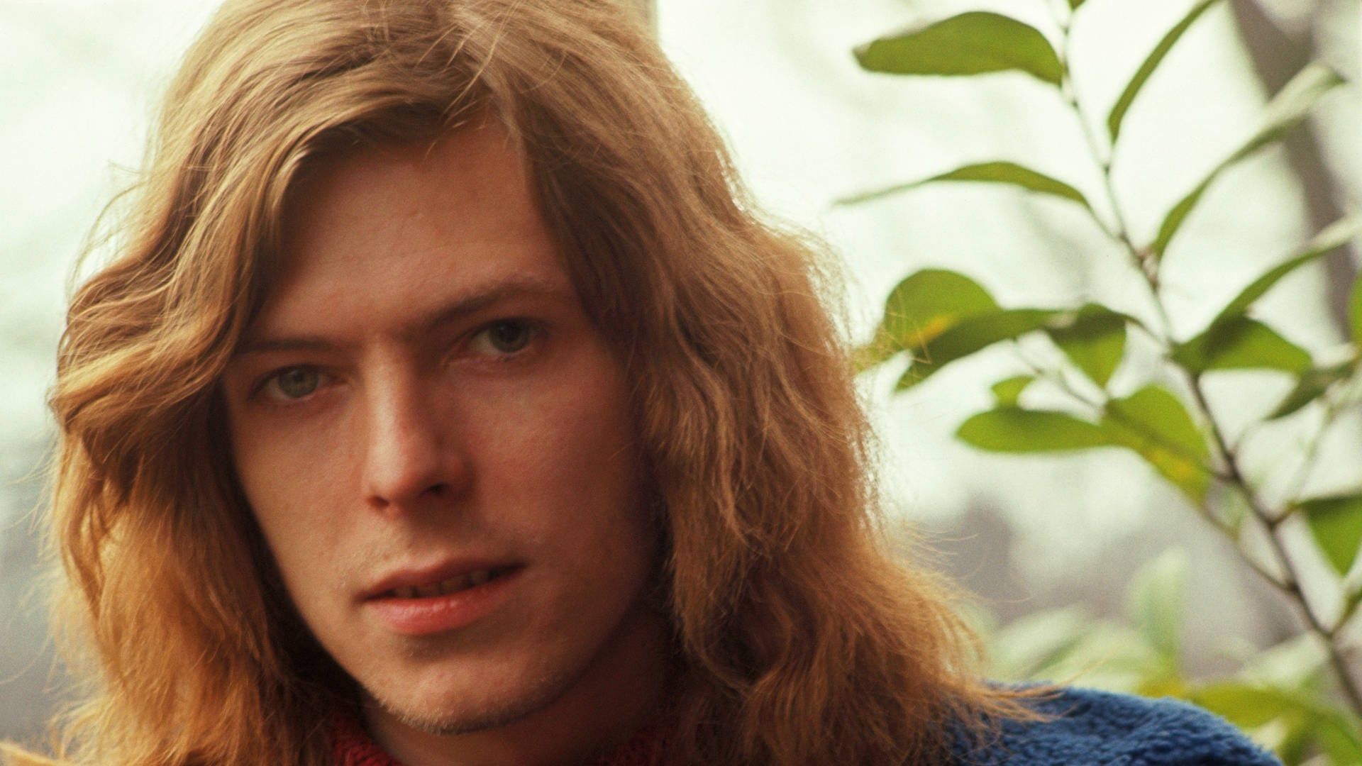 Cubierta de David Bowie: Los primeros años