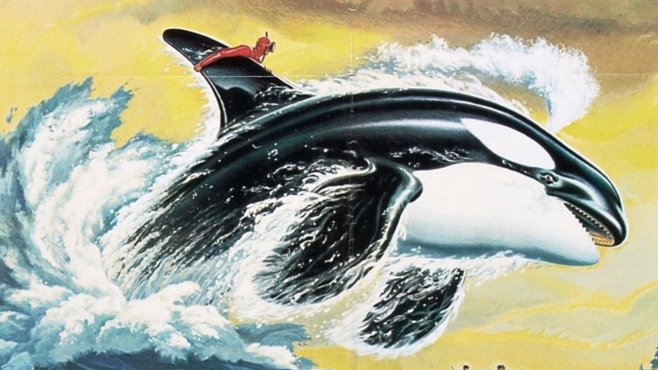 Cubierta de Namu, la ballena salvaje