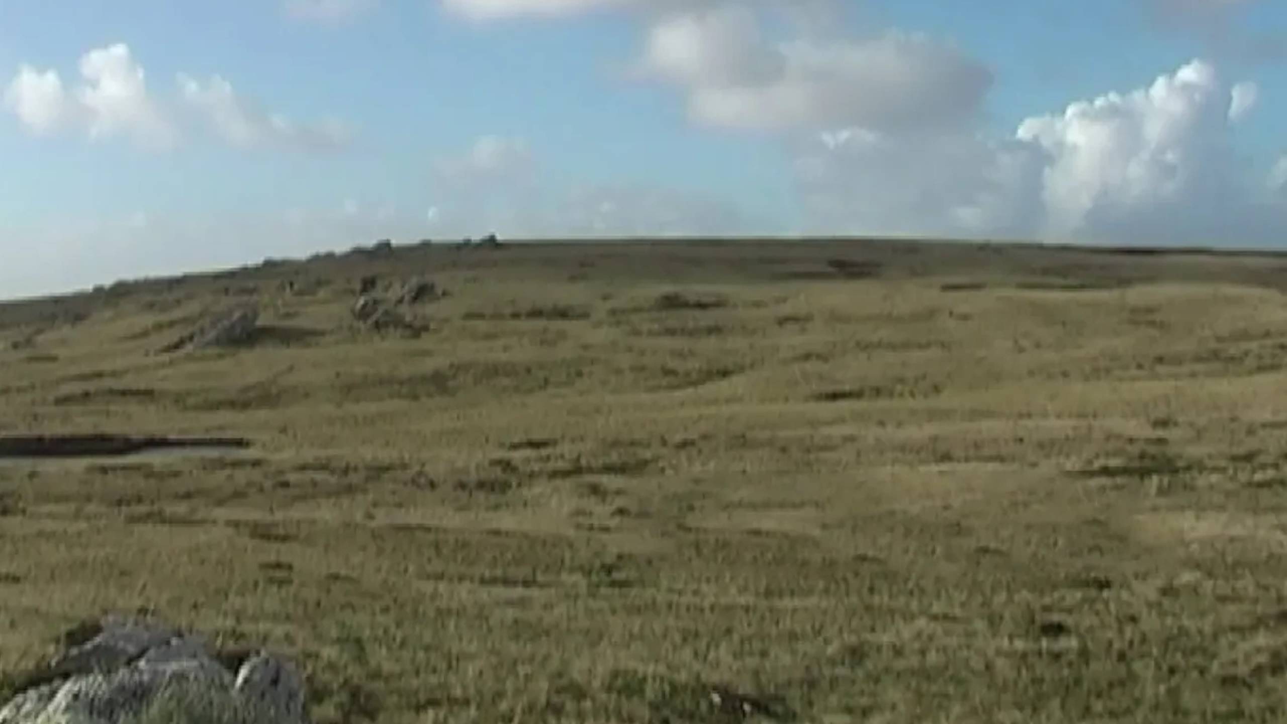 Cubierta de Huellas en el viento